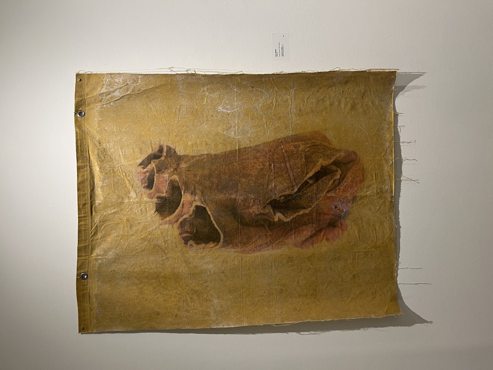 Tapestry of Labor - 2025