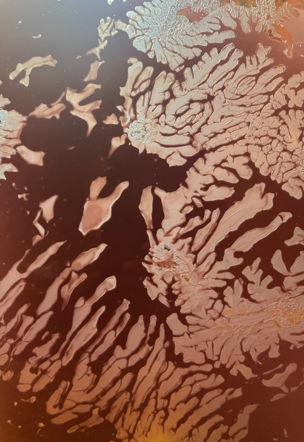 Untitled — detail studies